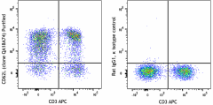 Purified anti-mouse CD62L Recombinant Antibody (161802)
