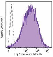 PE anti-Baculovirus envelope gp64 Antibody (250605)