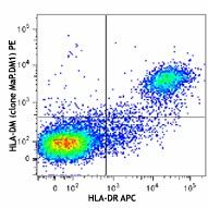 PE anti-human HLA-DM Antibody (358003)