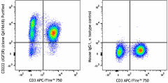 Purified anti-human CD222 (IGF2R) Recombinant Antibody (364202)