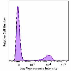 GMP APC anti-human CD56 (NCAM) Antibody (260440)
