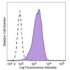 Brilliant Violet 421™ anti-human CD338 (ABCG2) Antibody (332029)