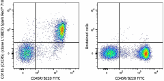 Spark Red™ 718 anti-mouse CD185 (CXCR5) Antibody (145543)