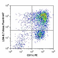 Alexa Fluor® 647 anti-mouse CD301a (MGL1) Antibody (145603)
