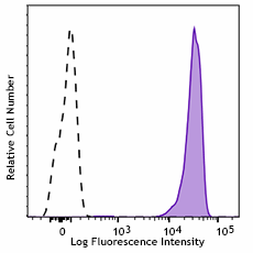 Purified anti-human CD45 Recombinant Antibody (311802)