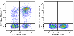 PE anti-human CD27 Antibody (384913)