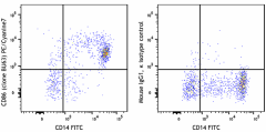 PE/Cyanine7 anti-human CD86 Antibody (374209)