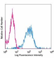 APC anti-human CD205 (DEC-205) Antibody (342207)