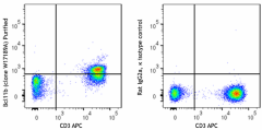 Purified anti-human Bcl11b Antibody (384502)