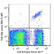 APC anti-mouse TCR Vβ6 Antibody (140005)