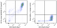 PE/Cyanine7 anti-human CD11b Recombinant Antibody (379907)