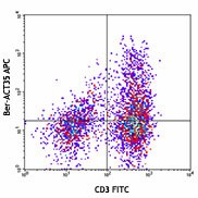APC anti-human CD134 (OX40) Antibody (350007)
