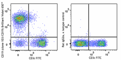 Brilliant Violet 650™ anti-mouse CD19 Antibody (152427)
