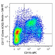 Biotin anti-mouse CD117 (c-kit) Antibody (135129)