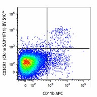 Brilliant Violet 510™ anti-mouse CX3CR1 Antibody (149025)