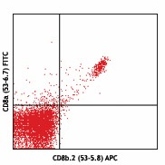 APC anti-mouse CD8b.2 Antibody (140410)