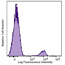PE anti-human CD56 (985902)