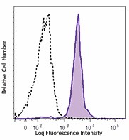 Brilliant Violet 711™ anti-human CD86 Antibody (305439)