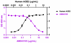 Purified anti-SARS-CoV-2 S Protein S1 Recombinant Antibody (940801)