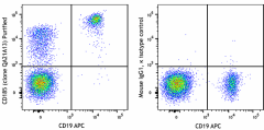 Purified anti-human CD185 (CXCR5) Recombinant Antibody (382402)