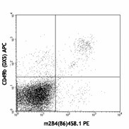 PE anti-mouse CD244.2 (2B4 B6 Alloantigen) Antibody (133507)