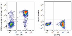 Spark YG™ 581 anti-human CD27 Recombinant Antibody (393215)
