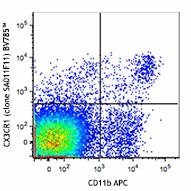 Brilliant Violet 785™ anti-mouse CX3CR1 Antibody (149029)
