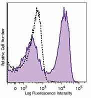 Brilliant Violet 570™ anti-mouse CD62L Antibody (104433)