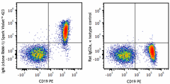 Spark Violet™ 423 anti-mouse IgM Antibody (406547)