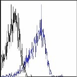 Alexa Fluor® 700 anti-human CD29 Antibody (303019)