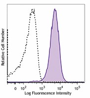 PE/Dazzle™ 594 anti-human CD11c Antibody (301641)