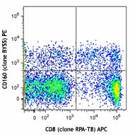 PE anti-human CD160 Antibody (341205)