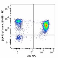 PE anti-ZAP-70 Antibody (693503)