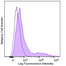 PE/Dazzle™ 594 anti-mouse IL-12/IL-23 p40 Antibody (505219)