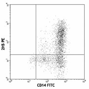 PE anti-mouse/rat/human MCP-1 Antibody (505903)
