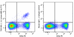 FITC anti-mouse TCR Vβ5.1, 5.2 Antibody (139513)