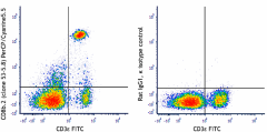 PerCP/Cyanine5.5 anti-mouse CD8b.2 Antibody (140417)