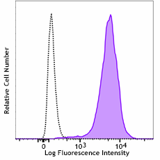 Brilliant Violet 421™ anti-human CD243 (MDR-1) Antibody (348617)