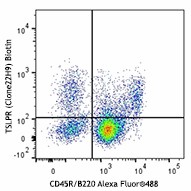 Biotin anti-mouse TSLPR (TSLP-R) Antibody (151804)