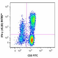 Brilliant Violet 785™ anti-human IFN-γ Antibody (502541)