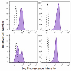 Brilliant Violet 510™ anti-mouse CD155 (PVR) Antibody (131527)