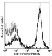 FITC anti-mouse I-Ek/rat RT1D Antibody (110205)