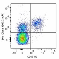 APC anti-Syk Antibody (644305)