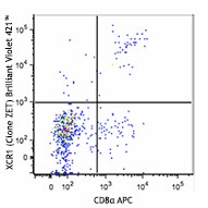 Brilliant Violet 421™ anti-mouse/rat XCR1 Antibody (148216)
