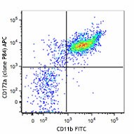 APC anti-mouse CD172a (SIRPα) Antibody (144013)