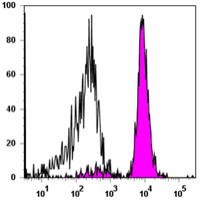APC anti-human CD86 Antibody (305411)
