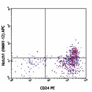 APC anti-mouse Notch 1 Antibody (130613)