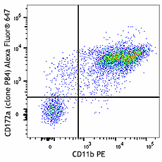Alexa Fluor® 647 anti-mouse CD172a (SIRPα) Antibody (144027)