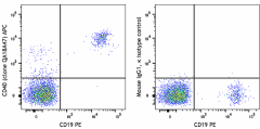 APC anti-human CD40 Recombinant Antibody (325804)