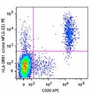 PE anti-human HLA-DRB1 Antibody (362303)